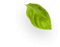 SH921.png SH921.png